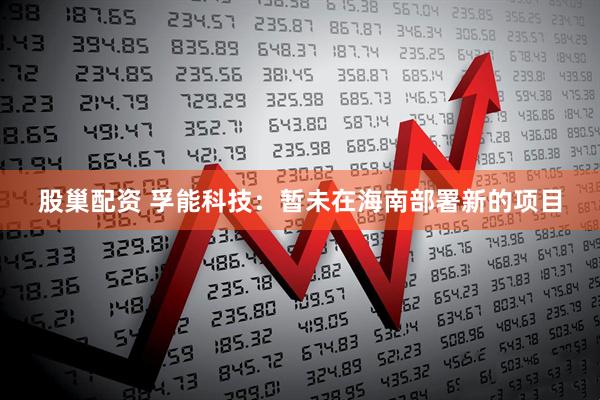 股巢配资 孚能科技：暂未在海南部署新的项目