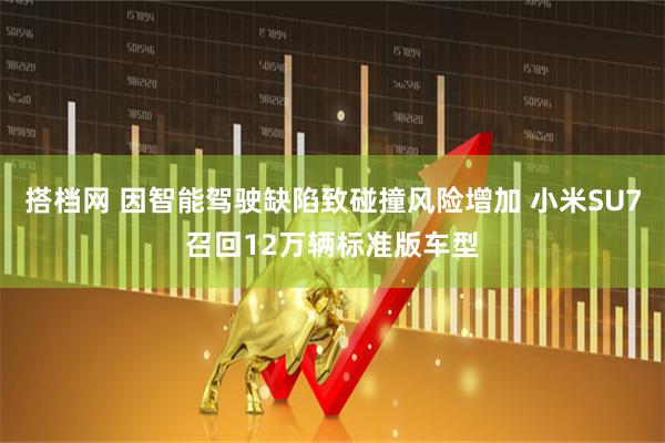 搭档网 因智能驾驶缺陷致碰撞风险增加 小米SU7召回12万辆标准版车型