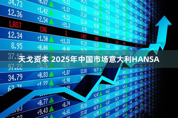 天戈资本 2025年中国市场意大利HANSA