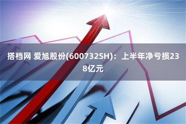 搭档网 爱旭股份(600732SH)：上半年净亏损238亿元